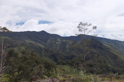 Behind the paper: Persistent tropical foraging in the highlands of terminal Pleistocene/Holocene New Guinea